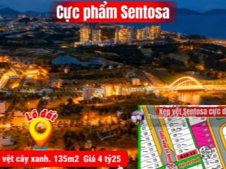 Siêu phẩm sentosa kẹp vệt cây xanh cực hiếm
