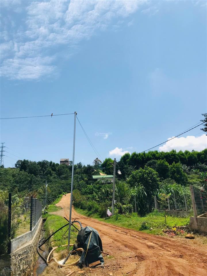 Căn biệt thự nhà gỗ 3 mặt tiền vườn sinh thái, có 1 không 2 tại trung tâm di linh!