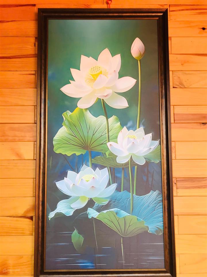 Căn biệt thự nhà gỗ 3 mặt tiền vườn sinh thái, có 1 không 2 tại trung tâm di linh!