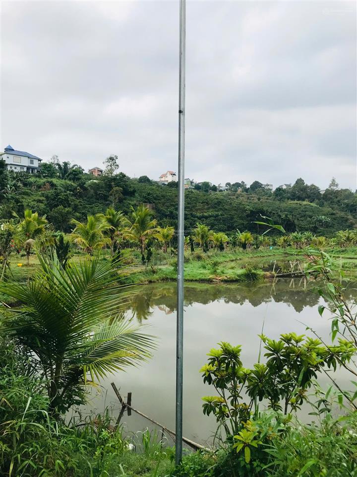 Căn biệt thự nhà gỗ 3 mặt tiền vườn sinh thái, có 1 không 2 tại trung tâm di linh!