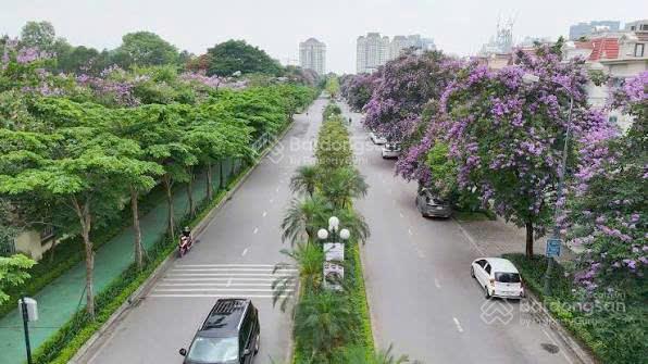 Duy nhất căn biệt thự ciputra giai đoạn 1 gần trường học giá 300tr/m2