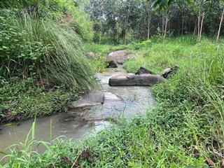 5.198m2 đất farm siêu chill, giáp suối tại hòa trí, khánh hoà