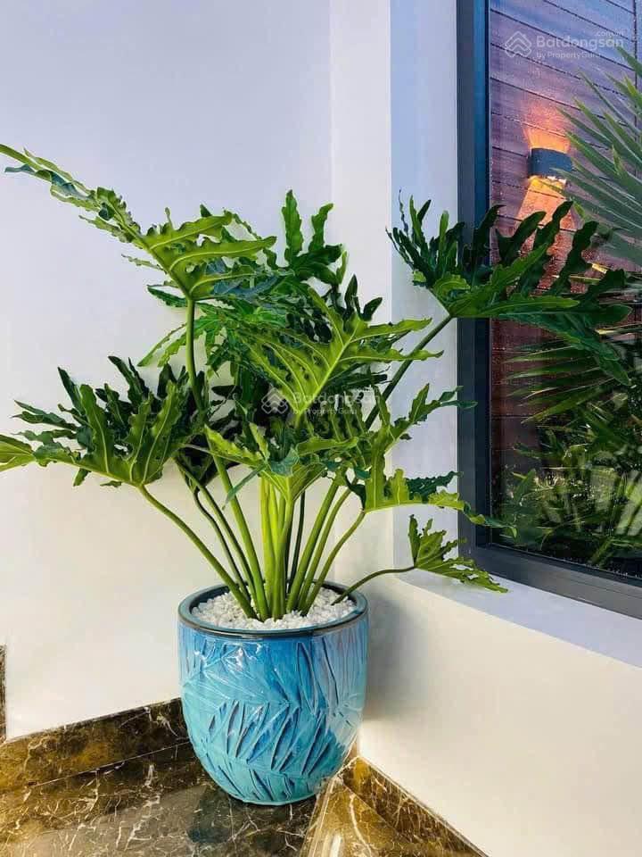 Bán nhà đẹp mặt tiền phạm thế hiển 1 trệt 1 lầu