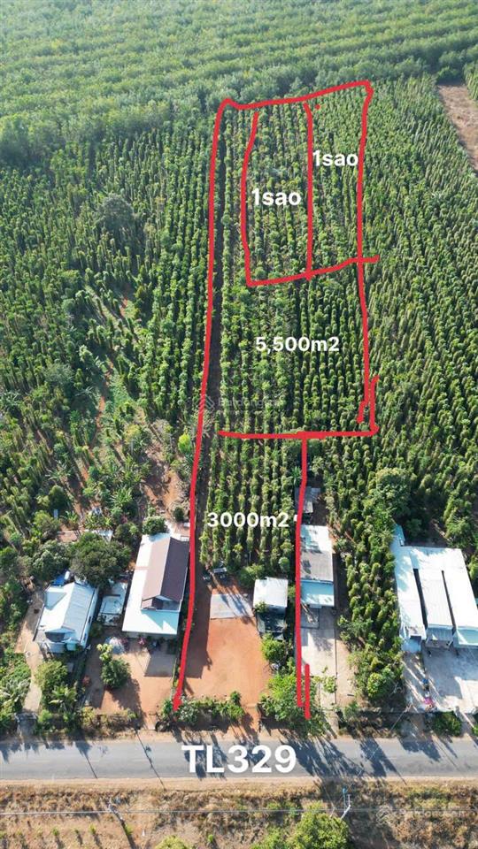 Chính chủ bán đất 10.500m2 giá 19 tỷ, đường tỉnh lộ 329 hòa hội, xuyên mộc, bà rịa  vũng tàu