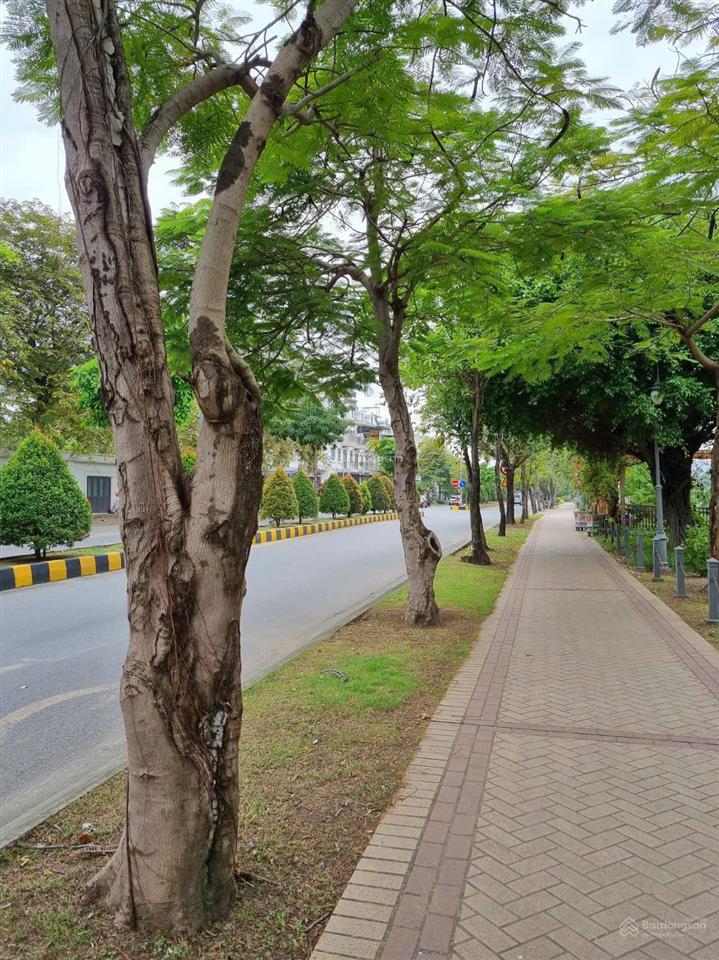 Căn hộ lakeview city quận 2 thiết kế cực chill, thoáng đãng, rộng rãi chỉ từ 6.5 triệu/tháng