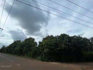 2 mặt tiền đường nhựa vuông vức đẹp vườn sầu riêng full hồng