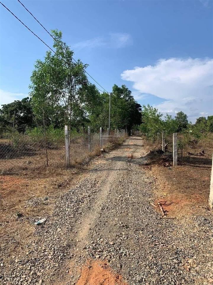 Bán 8sào 3 lô 2 đường 715, gần ủy ban xã thiện nghiệp cũ (phường mũi né) giá rẻ 0933 440 ***