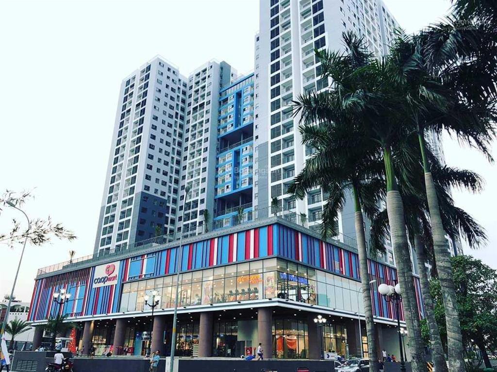 Chính chủ gửi thuê sài gòn avenue căn 62m2, 2pn, 2wc full nội thất giá 8tr.  0986 584 *** (nhi)