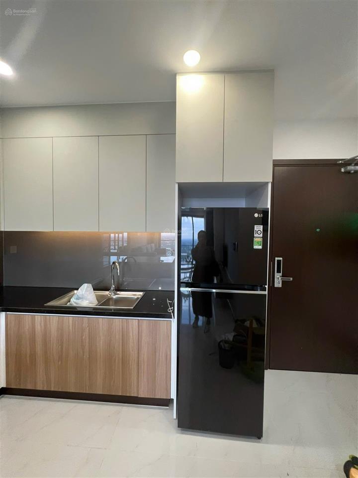 Cho thuê căn hộ cskyview  2pn  2wc  11tr  p. thủ dầu một  hồ chí minh