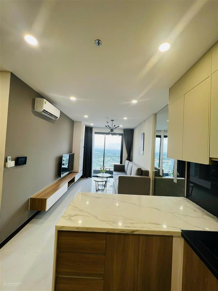 Cho thuê căn hộ cskyview  2pn  2wc  11tr  p. thủ dầu một  hồ chí minh