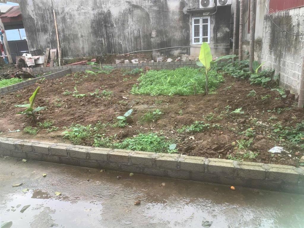 Của để dành mảnh đất vuông vức, nhỏ xinh với mặt tiền hơn 8m  ôtô đỗ cửa  gần con đường đi sản