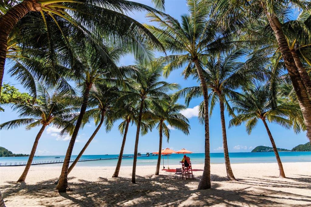 Mảnh vườn vip đẹp 2100mv ont cách biển 2p xe 49 chỗ trước nhà