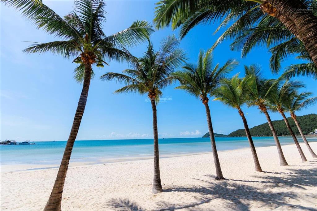 Mảnh vườn vip đẹp 2100mv ont cách biển 2p xe 49 chỗ trước nhà