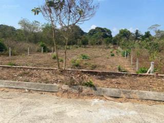 Bán miếng vườn qh tmdv đất rộng 500m2 làm nhà vườn cấp 4 bao đẹp