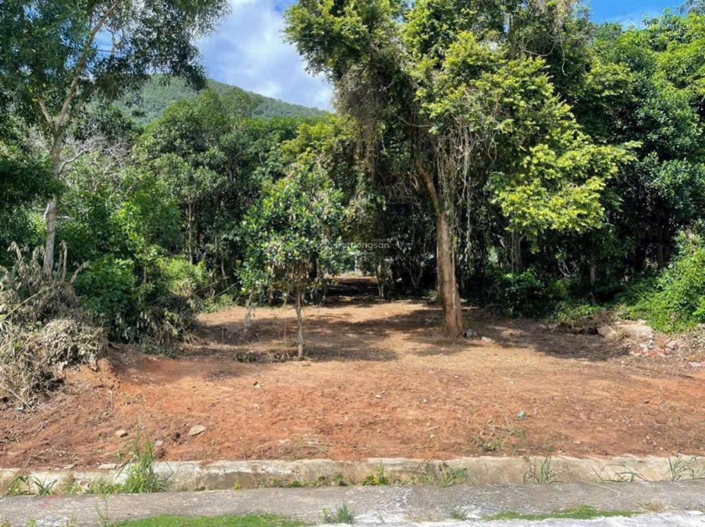 Lô đất view biển hàm ninh khá đẹp lưng tựa núi nhìn ra biển