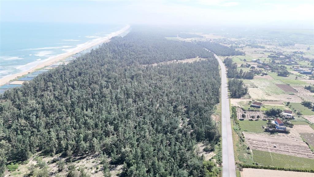 2600mv đất vườn giá rẻ cực sôc bán nhanh 55m mat tiền đường