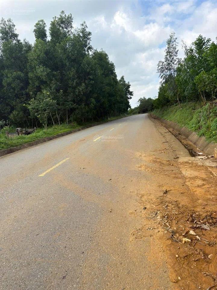 2600mv đất vườn giá rẻ cực sôc bán nhanh 55m mat tiền đường