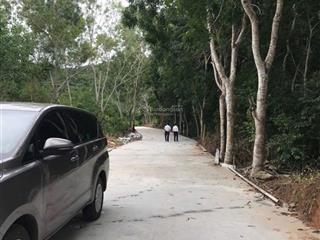 Siêu vip pro 3900m2 500m2 thổ cư 65m2 mặt tiền bê tông