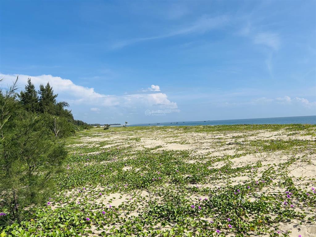 Lô đất biển đẹp trục chính giá khá tốt, full thổ cư ra biển hơn 50m quá ổn áp