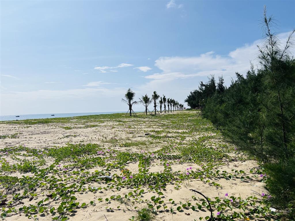 Lô đất biển đẹp trục chính giá khá tốt, full thổ cư ra biển hơn 50m quá ổn áp