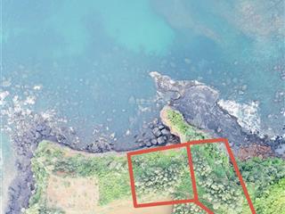 Mảnh vườn đất cln gần 1300m2 sổ qh tmdv mặt biển đẹp nhức mình