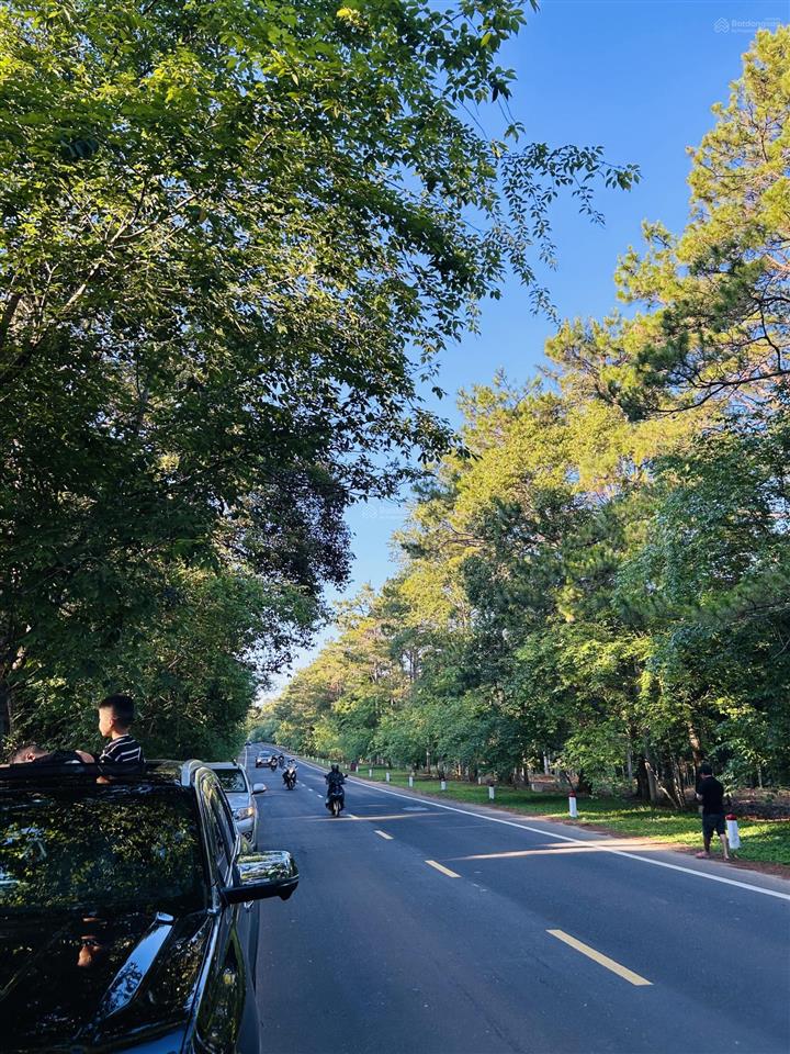 Can kim đông trung tâm măng đen giá cực tốt ace ạ siêu vip