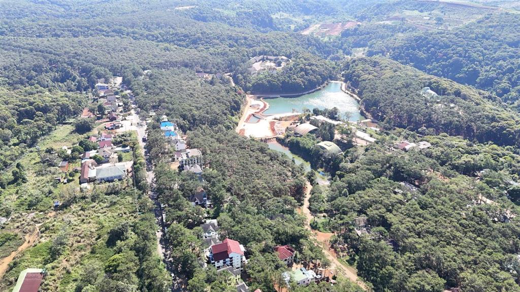 Can kim đông trung tâm măng đen giá cực tốt ace ạ siêu vip