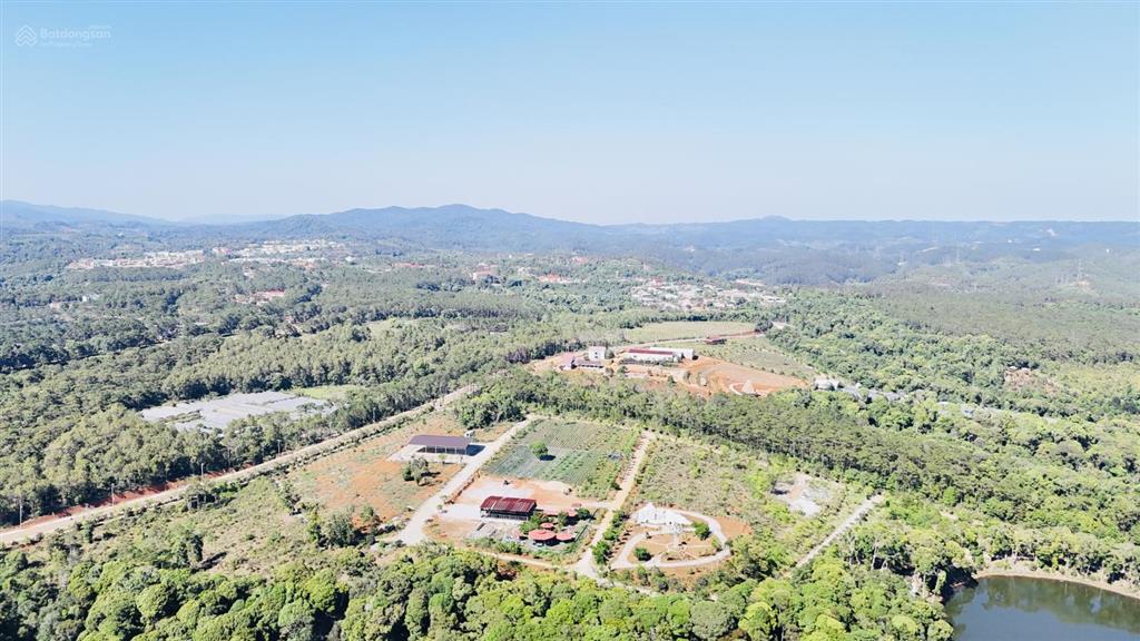 Can kim đông trung tâm măng đen giá cực tốt ace ạ siêu vip