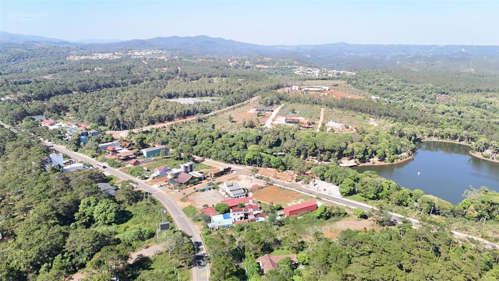 Can kim đông trung tâm măng đen giá cực tốt ace ạ siêu vip