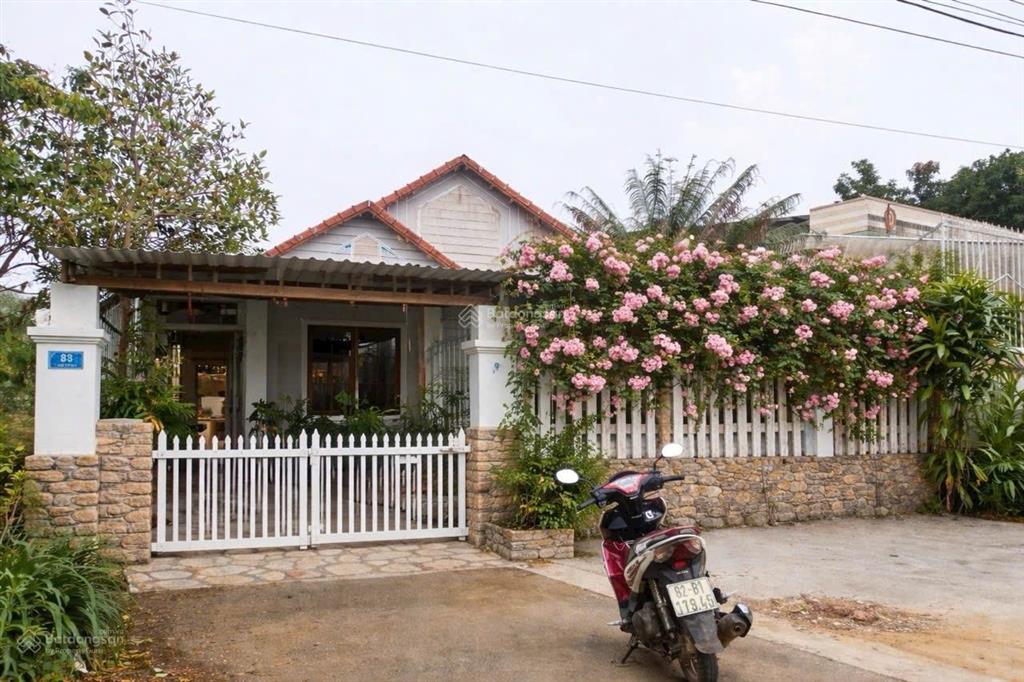 Can kim đông trung tâm măng đen giá cực tốt ace ạ siêu vip