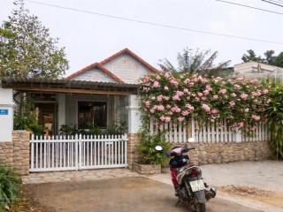 Can kim đông trung tâm măng đen giá cực tốt ace ạ siêu vip