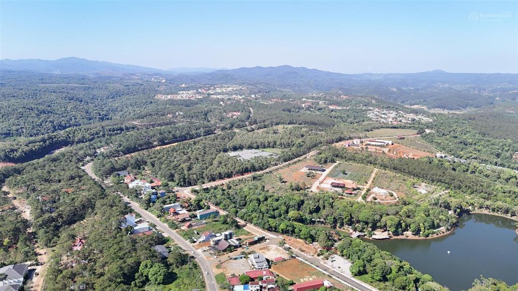 Can kim đông trung tâm măng đen giá cực tốt ace ạ siêu vip