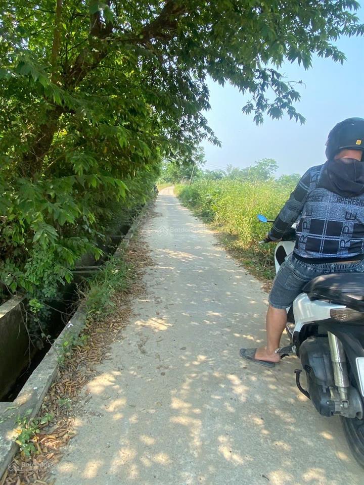 Lô đất vườn cẩm kim, tp hội an rẻ giá cực tốt tương lai lên thổ