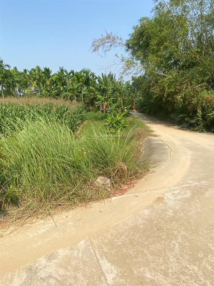 Lô đất vườn cẩm kim, tp hội an rẻ giá cực tốt tương lai lên thổ