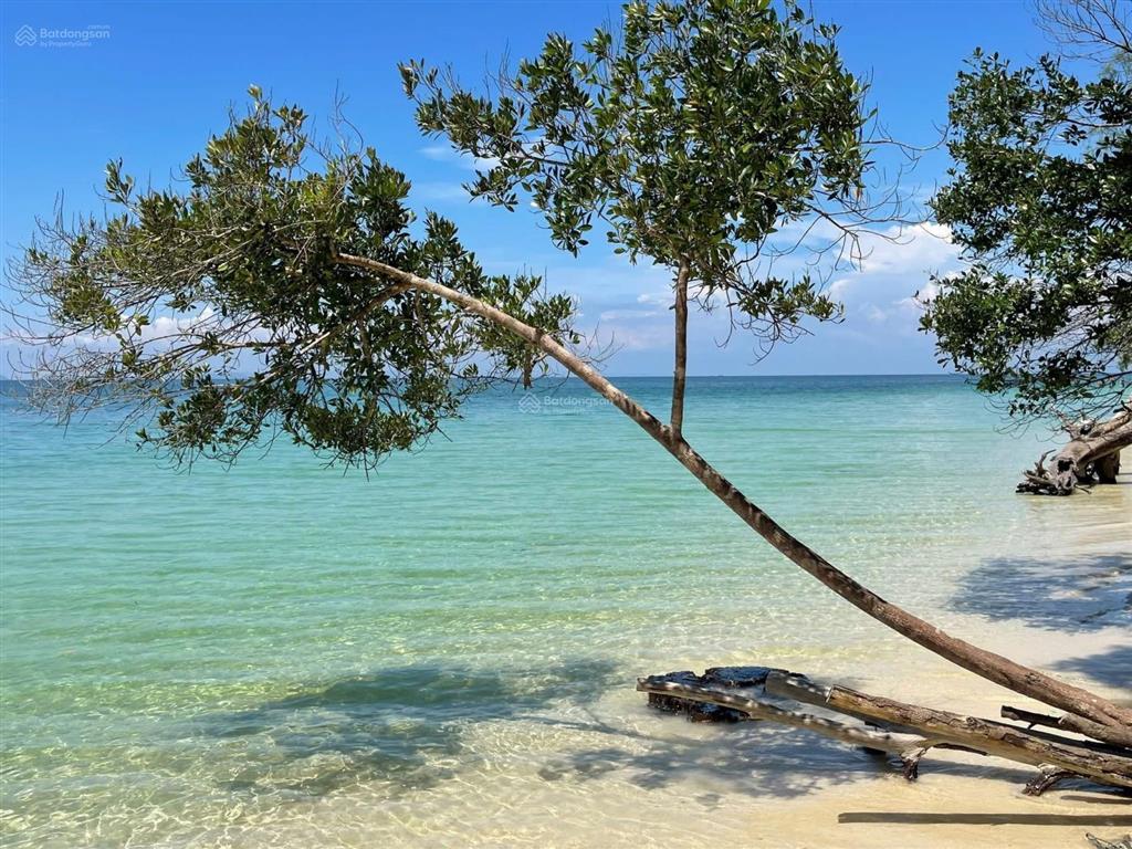 View biển mỹ an trên đồi biển thôn xuân thạnh phù mỹ bình định gia lai
