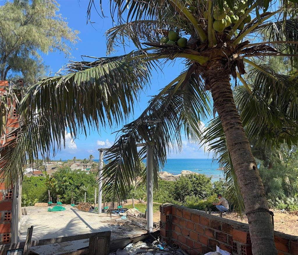 View biển mỹ an trên đồi biển thôn xuân thạnh phù mỹ bình định gia lai