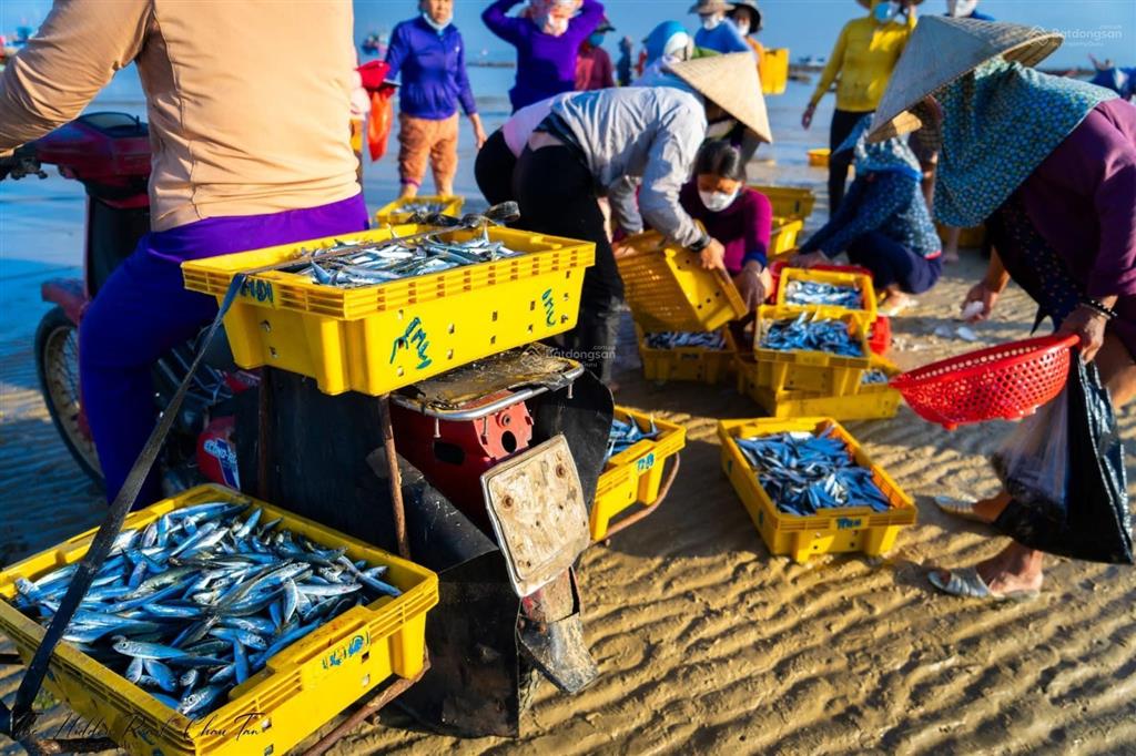 Miếng đất view đồi siêu rẻ gần 5000mv mua vức bao lời