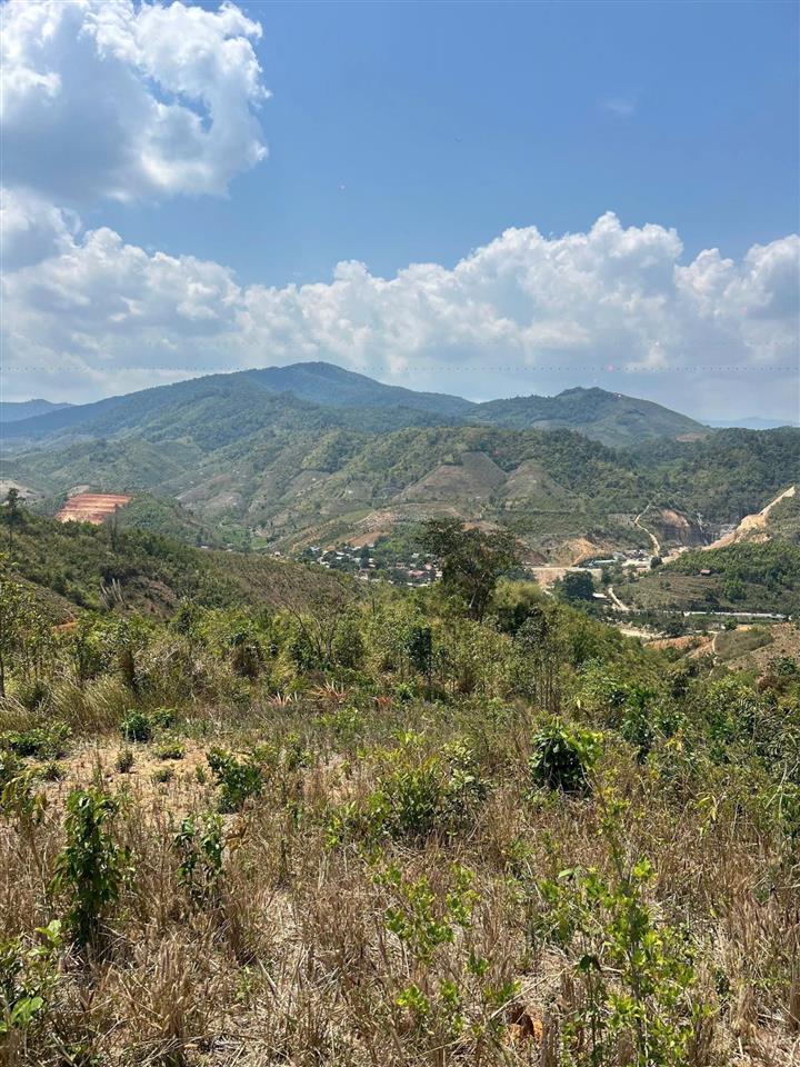 Miếng đất view đồi siêu rẻ gần 5000mv mua vức bao lời