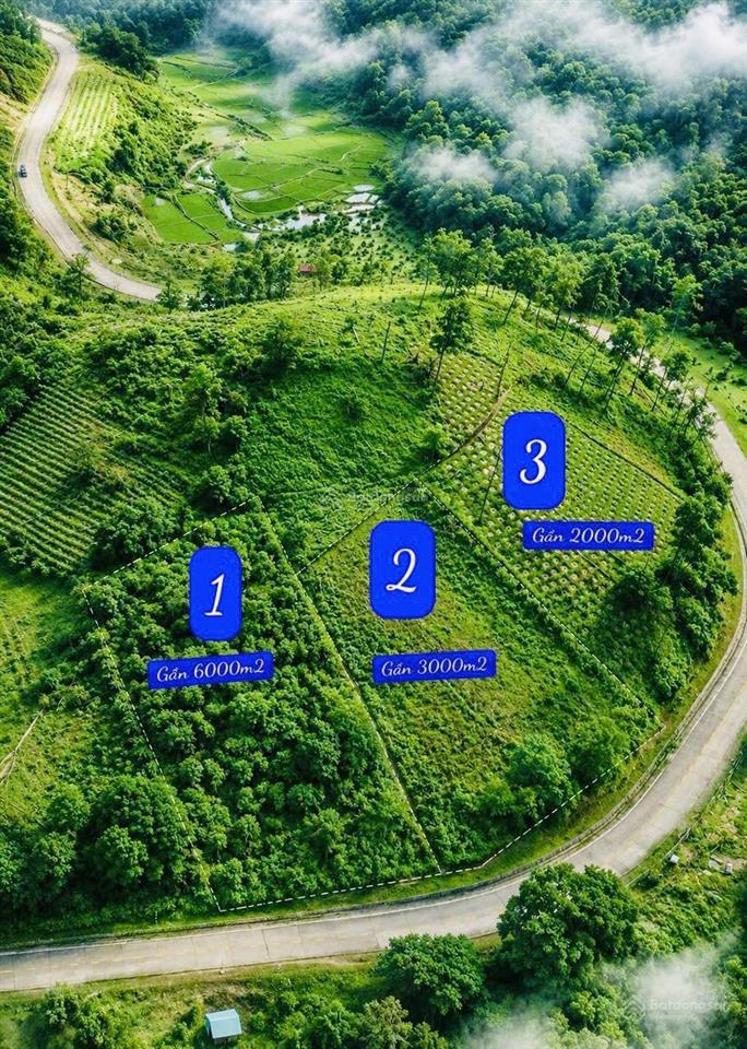 View đồi gần măng đen xã hiếu giá tốt gần 1 hec ta