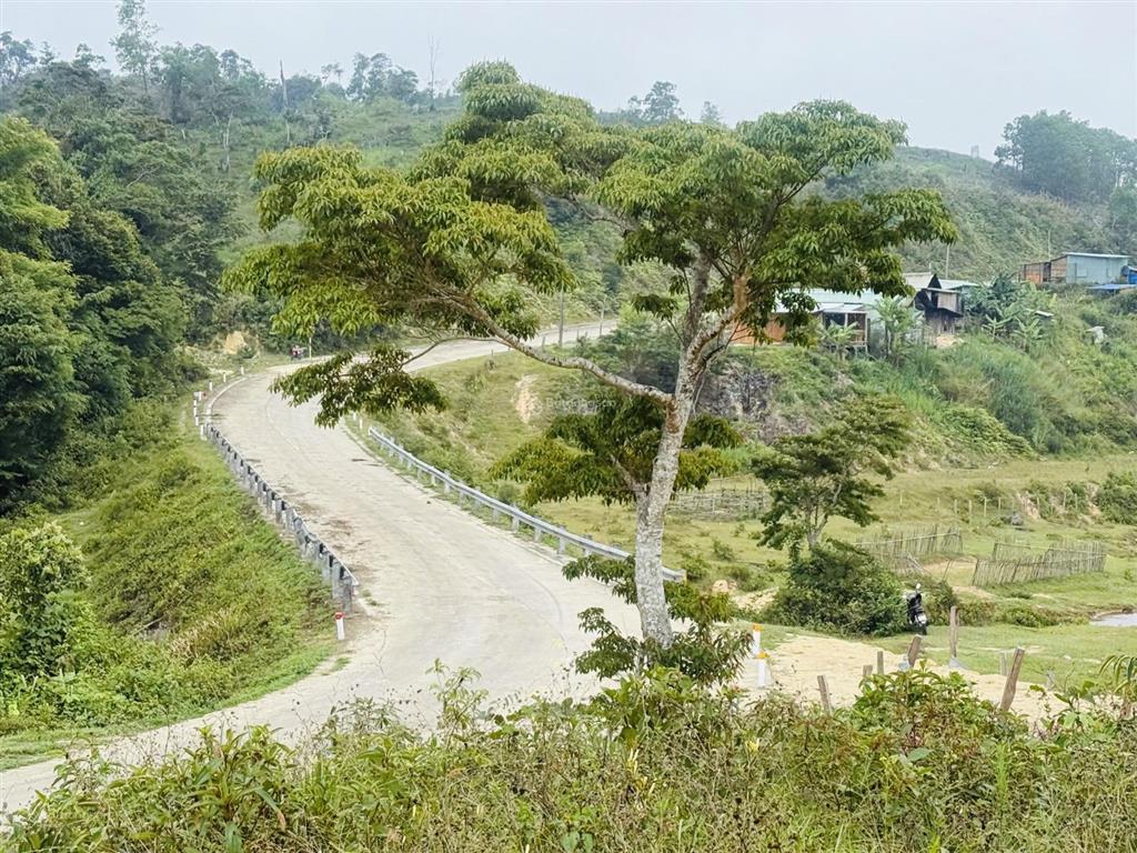 View đồi gần măng đen xã hiếu giá tốt gần 1 hec ta