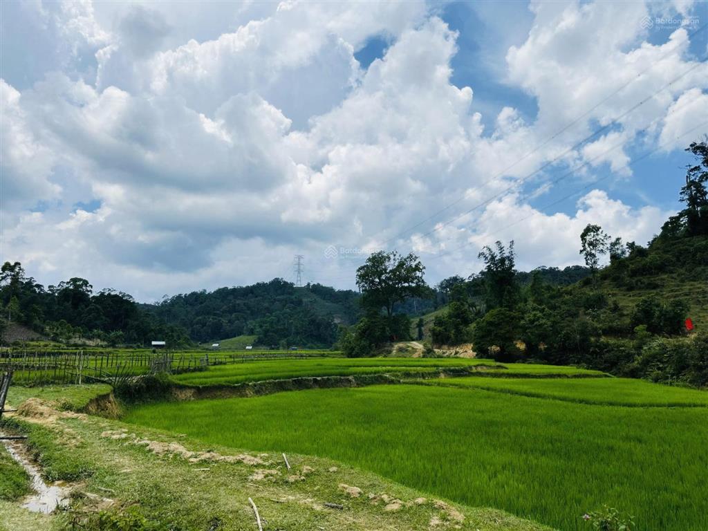 Cuôi xã hiếu view đẹp sổ 400 ont giá chưa đến 1tr/m2 rẻ