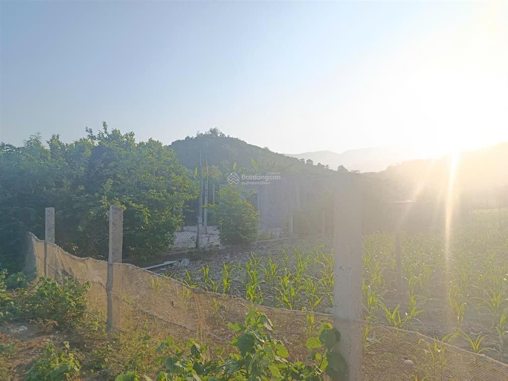 Siêu vip 1000m², cln, qh thổ cư, view nhìn biển ninh vân