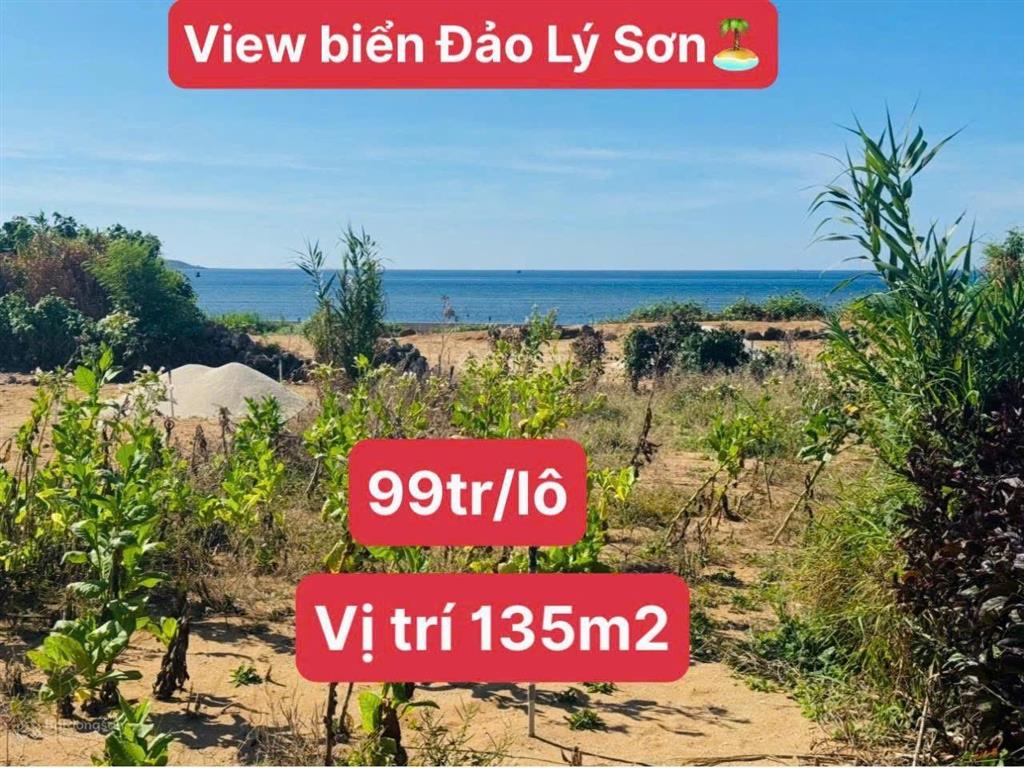 Lý sơn hòn đảo nổi tiếng khắp cả nước việt nam với bán kính 10km dân số đông