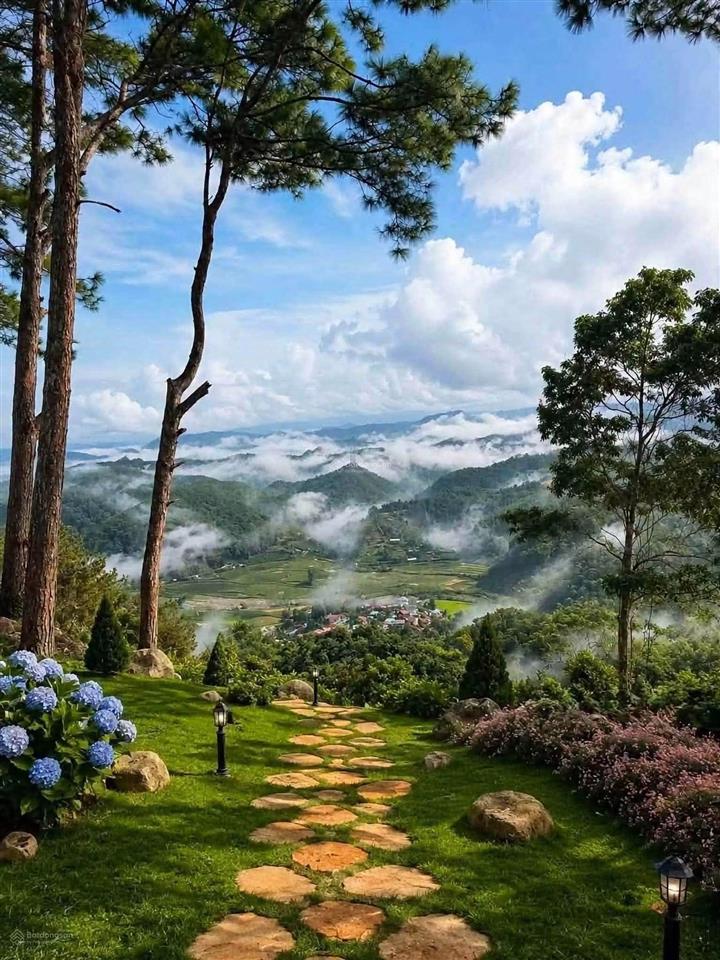 Đất gần trung tâm măng đen giá khá tốt ạ
