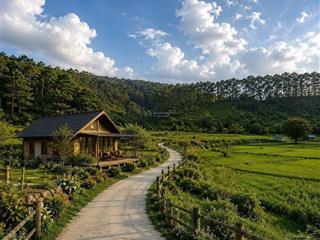Đất gần trung tâm măng đen giá khá tốt ạ