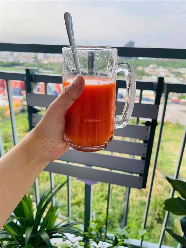 Tôi chủ nhà cấn bán căn hộ q7 riverside 2 phòng ngủ block v2 view hướng bắc nhìn sông rất đẹp