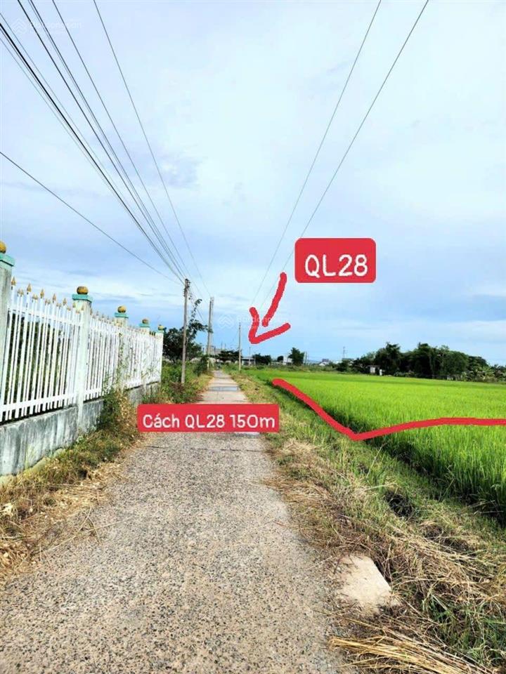 Bán đất 950m2 có 300m2 thổ cư tại thôn bình an,
hàm chính,hàm liêm mới,về phan thiết 2,2km