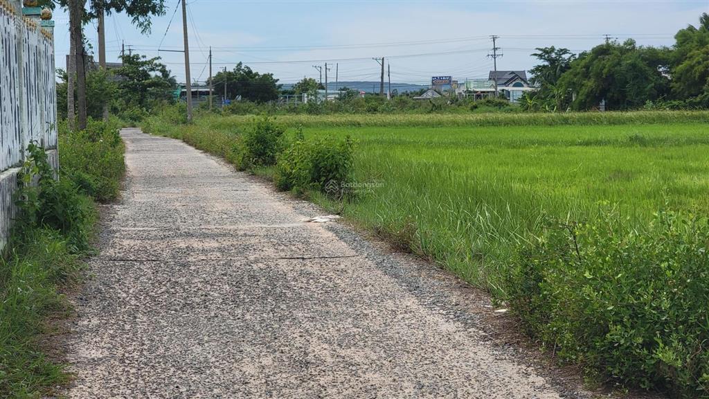 Bán đất 950m2 có 300m2 thổ cư tại thôn bình an,
hàm chính,hàm liêm mới,về phan thiết 2,2km