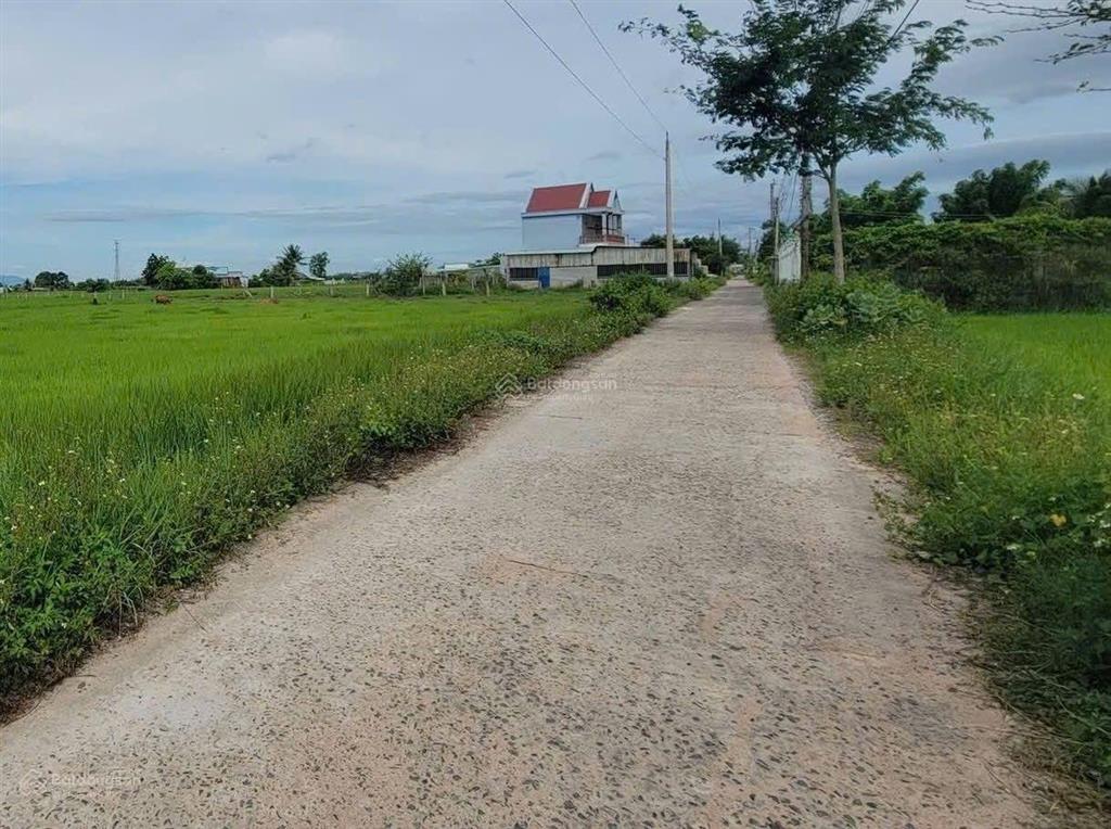 Bán đất tại thôn bình an đối diện cây xăng số 6, 500 triệu, 100m2