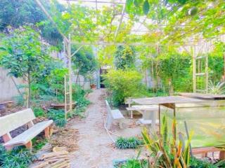 Cho thuê nhà 500 m2 đường 3/2 tiện có sân rộng 20 triệu